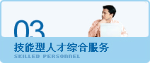 技能型人才综合服务